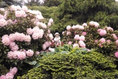 2014-05-21 15.49.40